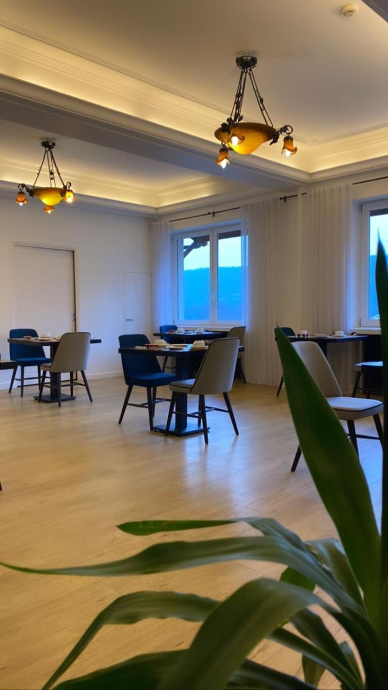 Hotel Le Bellevue Les Roches-de-Condrieu Экстерьер фото